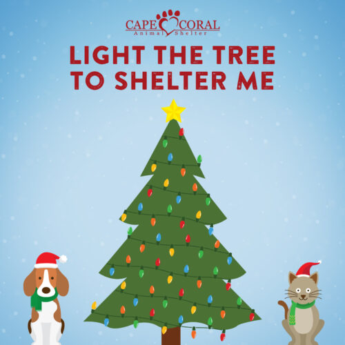 Giving Tree Campaign to benefit CCAS underway | Donors can help light up the holidays during Cape Coral Animal Shelter fundraiser